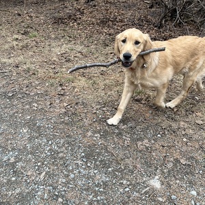 Fundraising Page: Sonia Grasse